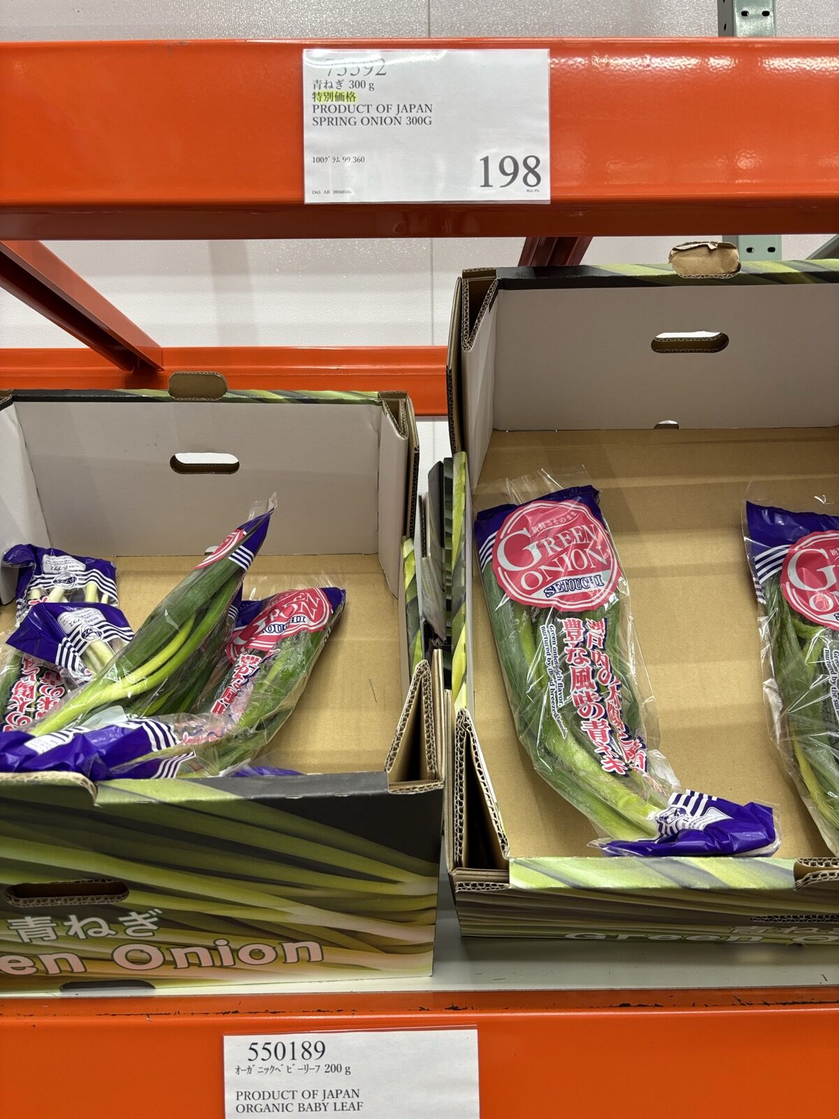 コストコ 青ねぎ 300g ¥198 商品番号51552 PRODUCT OF JAPAN SPRING ONION