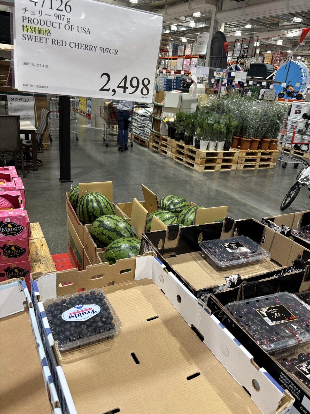コストコ スイートレッドチェリー 907g ¥2,498 商品番号47126 USA産 特別価格 SWEET RED CHERRY