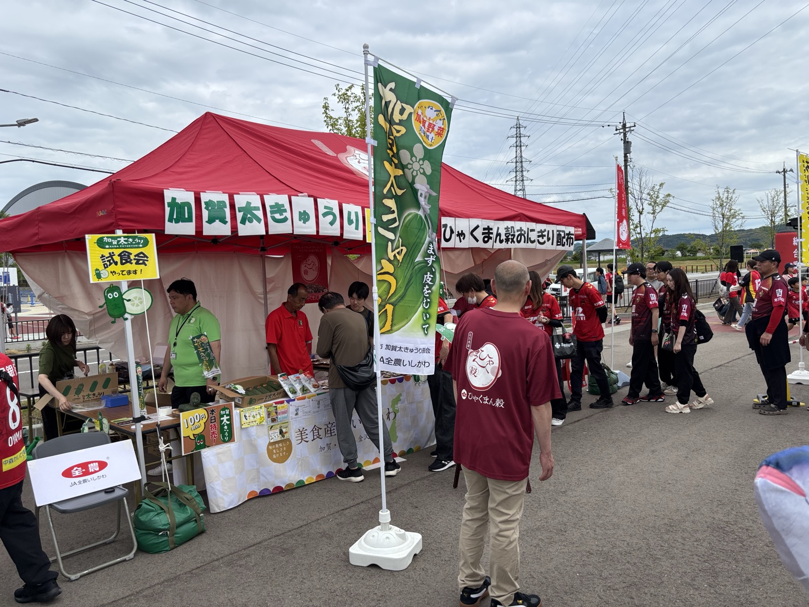 加賀太きゅうり試食会 JA全農いしかわテント スタッフがむかず皮をむいて試食を勧める