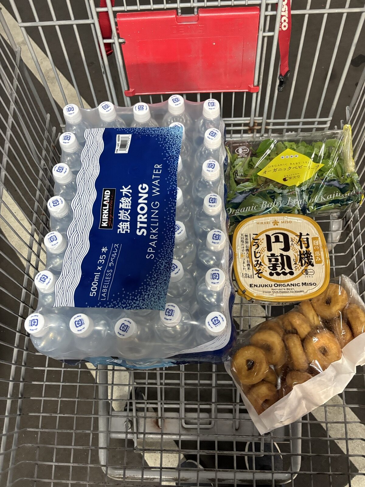 コストコ 2026年6月 購入品