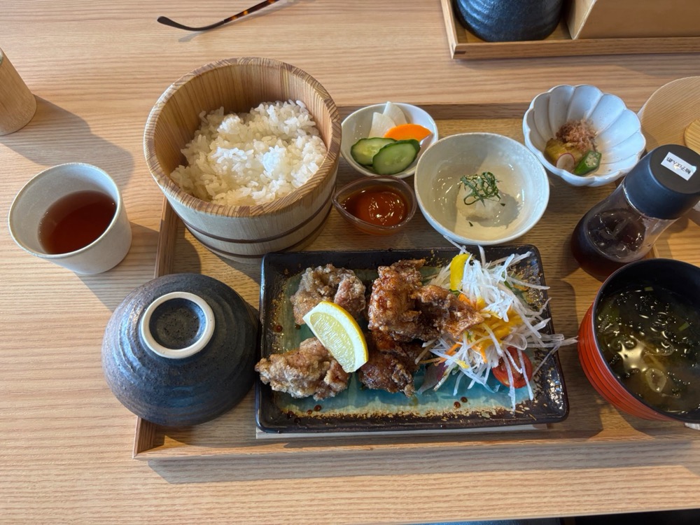 健康咲鶏のからあげ御膳、全体
